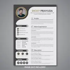 Premium Quality CV